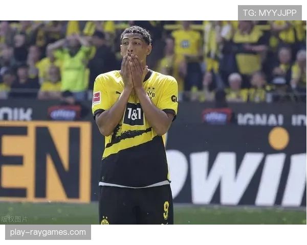 特写:一家位于慕尼黑的科技初创公司如何为德甲提供AI比赛分析数据服务 特写:一家位于慕尼黑的科技初创公司如何为德甲提供AI比赛分析数据服务